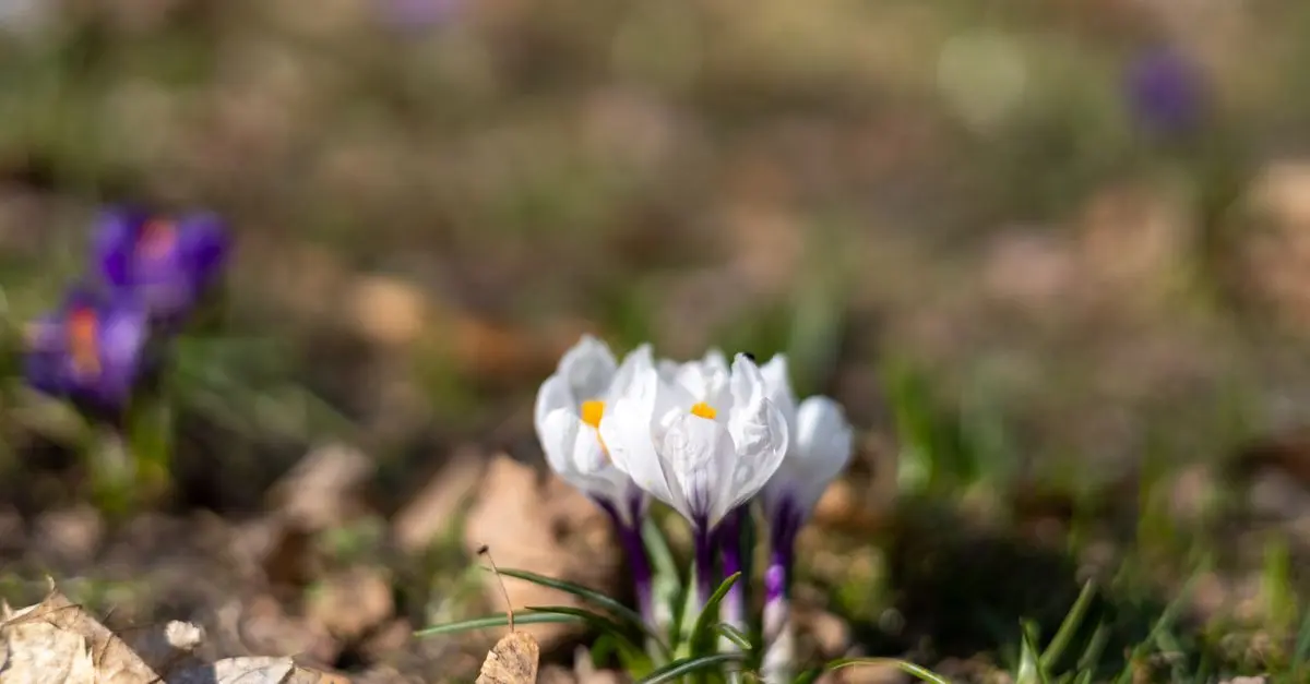 La Migliore Ferramenta per il Giardino